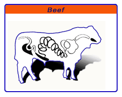 Beef casings scheme
