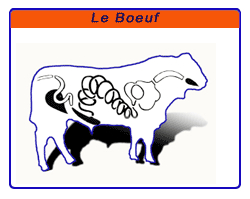 Schéma des boyaux de bœuf: CAD Gros de bœuf