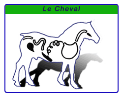 Schéma de présentation des boyaux de boeuf