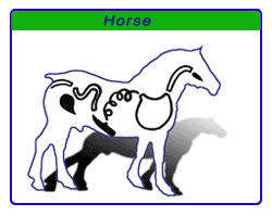 Horse casing scheme